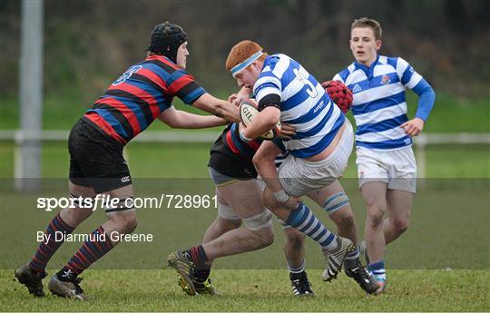 Rockwell College v St Munchin's - Munster Schools Senior Cup Semi-Final