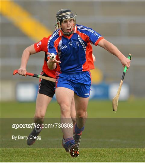 Mary Immaculate College, Limerick v University College Cork - Irish Daily Mail Fitzgibbon Cup Final