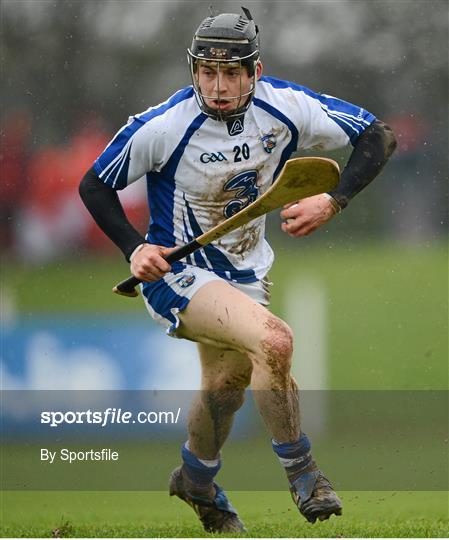 Waterford v Cork - Allianz Hurling League Division 1A