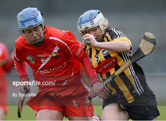 Kilkenny v Cork - Irish Daily Star National Camogie League Division 1 Group 1