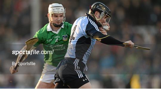 Dublin v Limerick - Allianz Hurling League Division 1B Play-Off