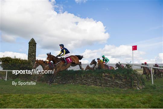 The 2013 Punchestown Festival - Thursday 25th April